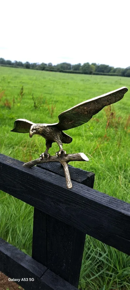Large  brass eagle - Image 1