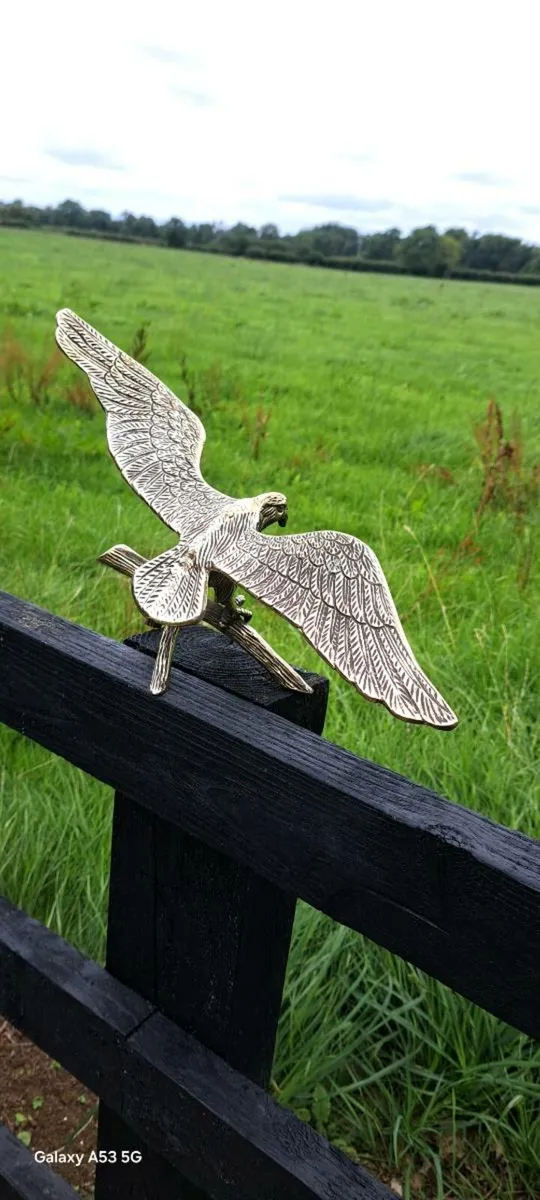 Large  brass eagle - Image 2