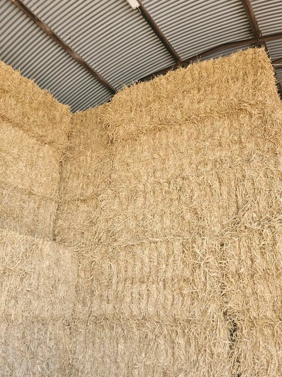 Straw - Image 1