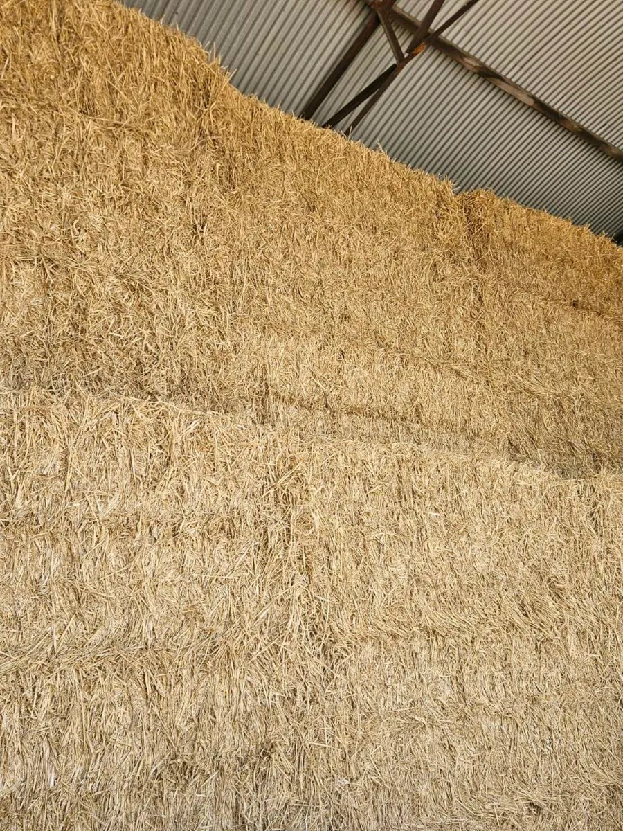 Straw - Image 2