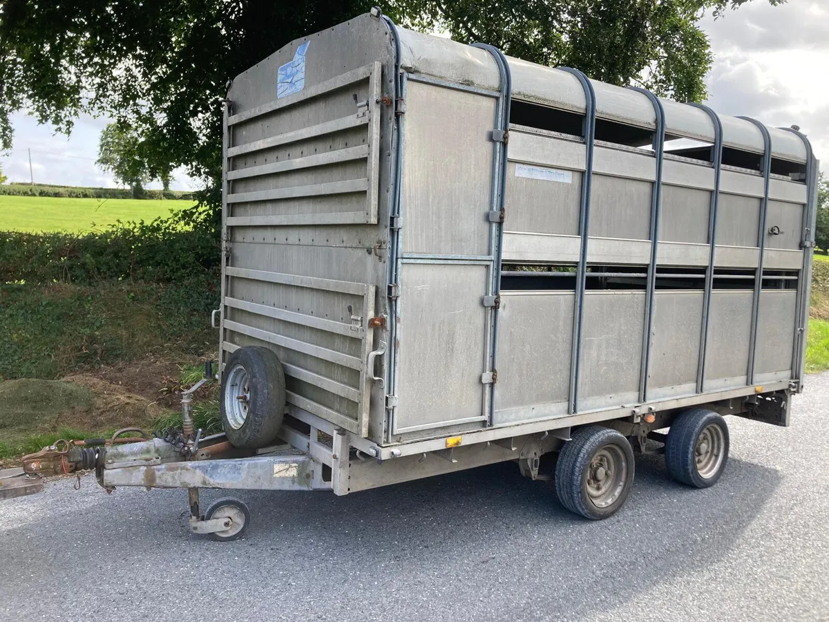 Trade Sale Ifor Williams 12ft Sheep Trailer NOVAT - Image 1