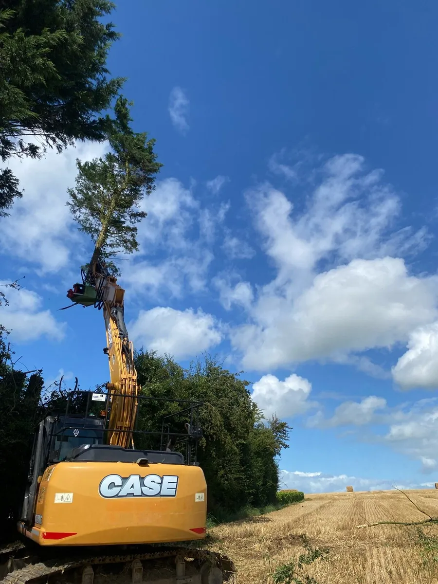 Tree Shearing/Removal - Image 2