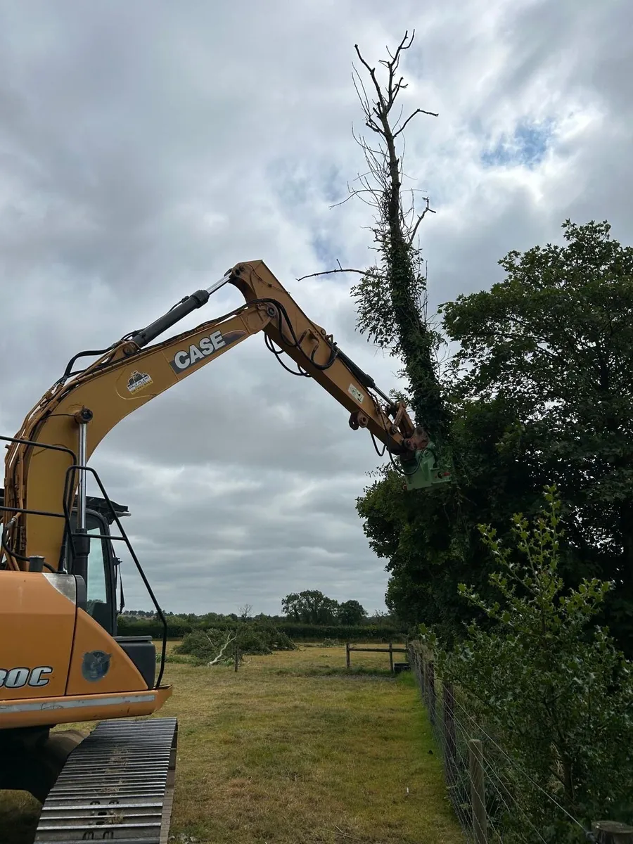 Tree Shearing/Removal - Image 4