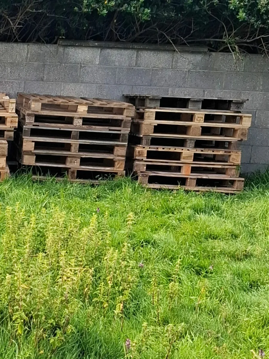 Wooden Timber pallets For Sale - Image 1