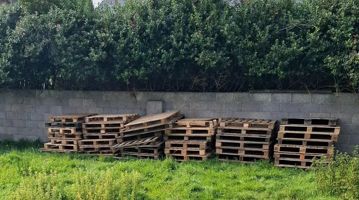 Wooden Timber pallets For Sale - Image 2