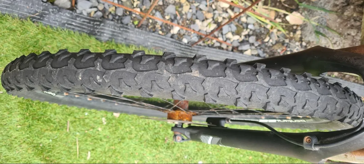 Betini Frenzi Hardtail MTB - Image 2