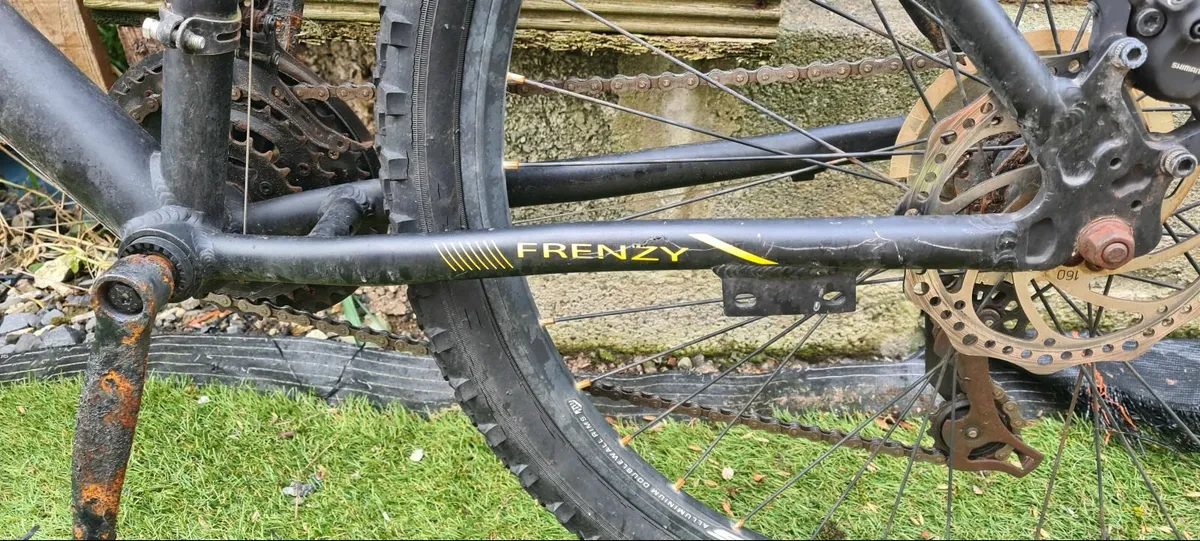 Betini Frenzi Hardtail MTB - Image 3