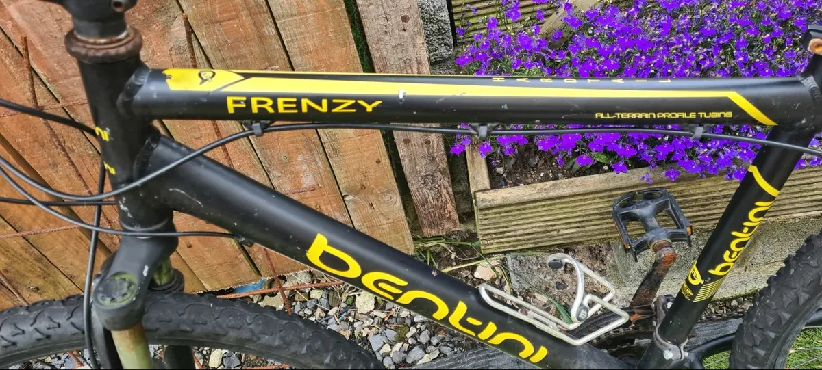Betini Frenzi Hardtail MTB - Image 4