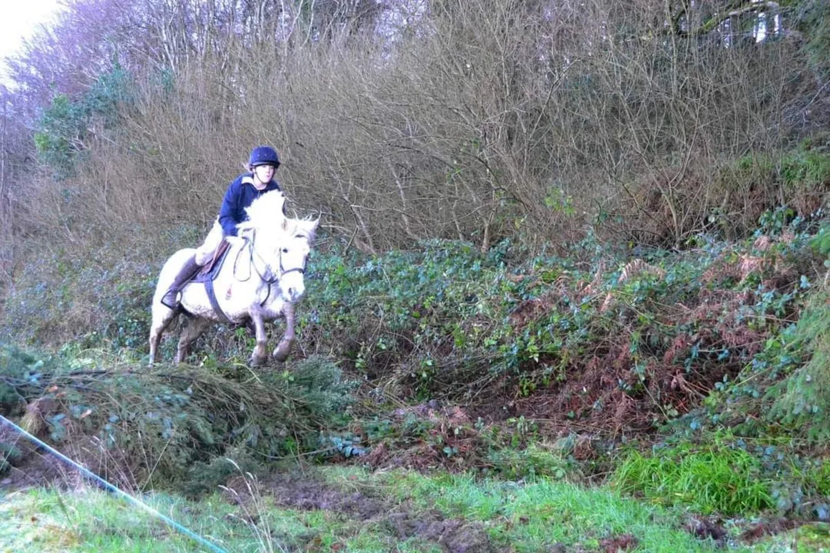 Fun family pony - Image 2