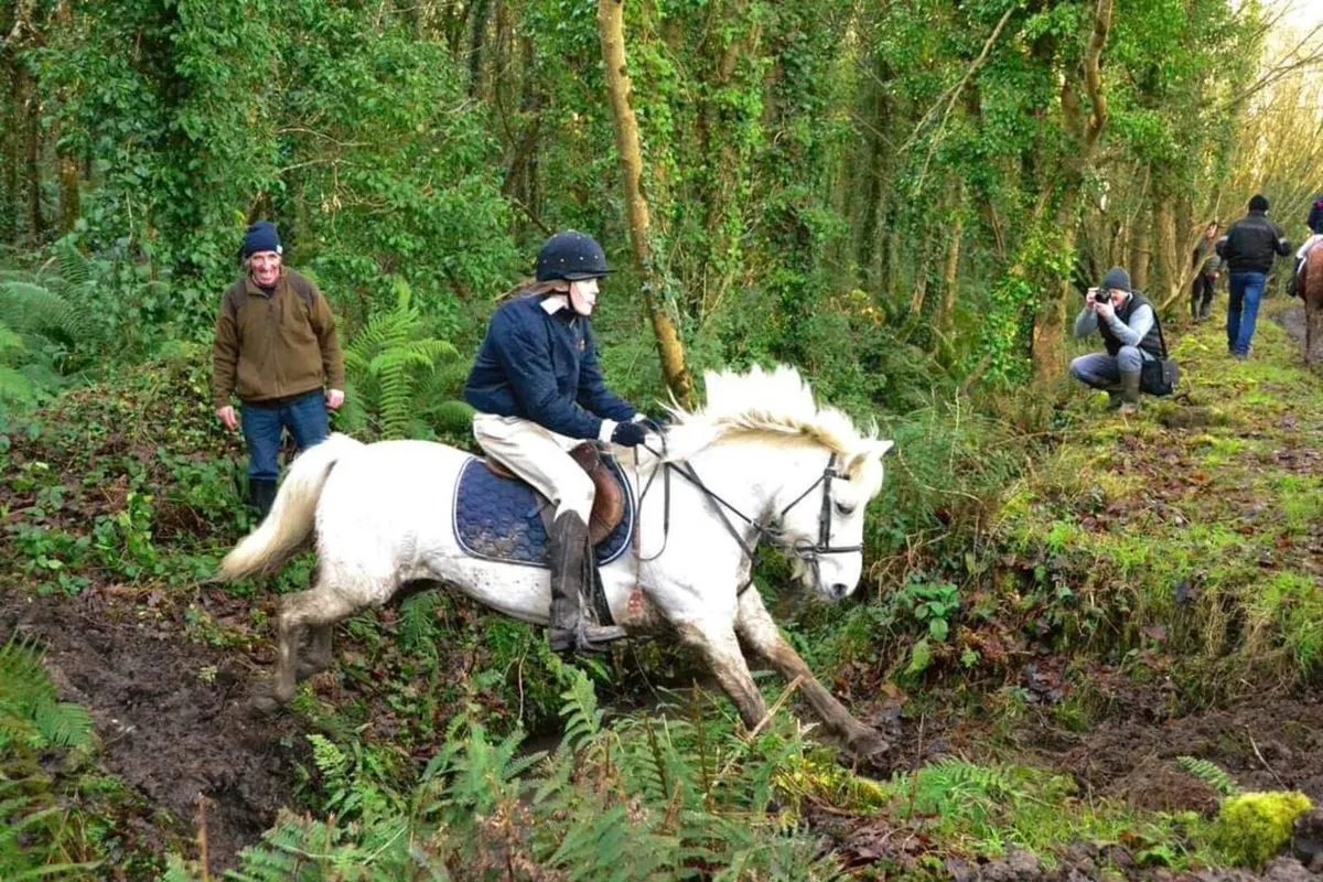Fun family pony - Image 3