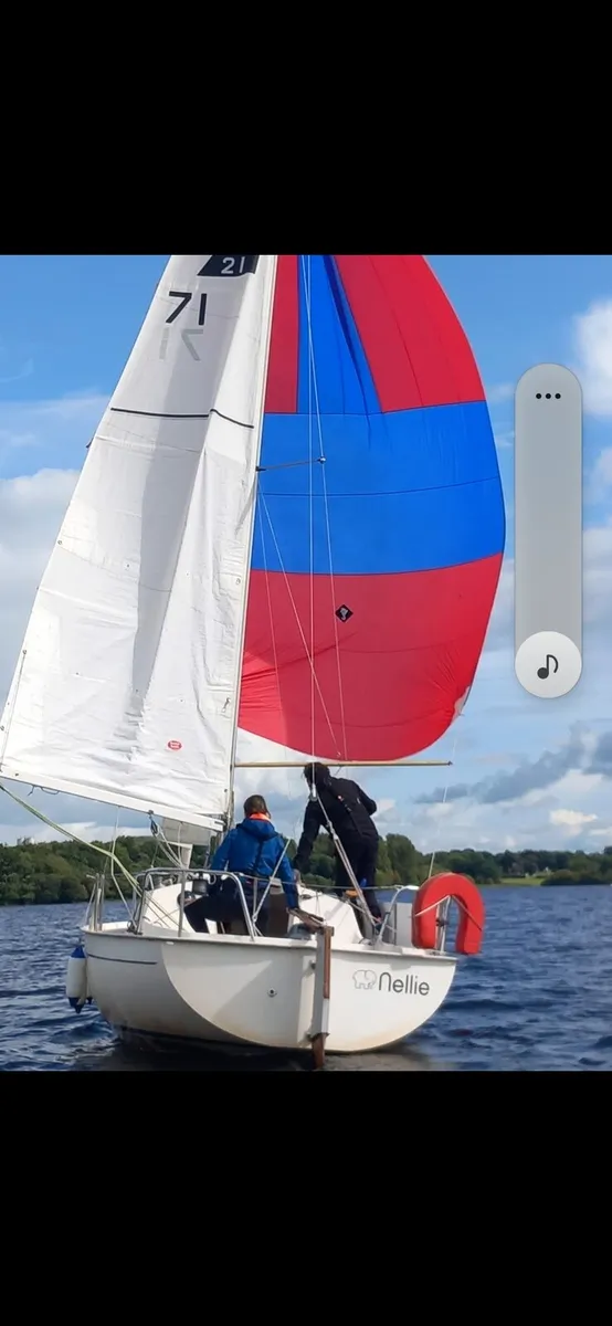 Jaguar 21 - Image 1
