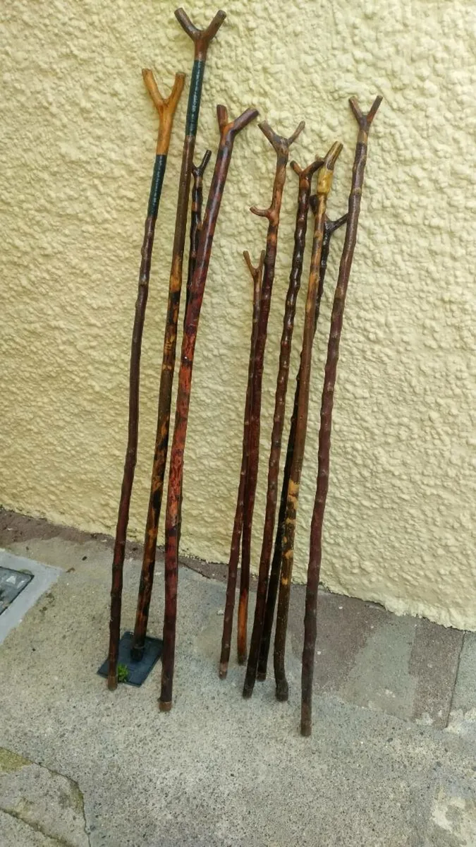 10. Blackthorn rambling sticks - Image 1