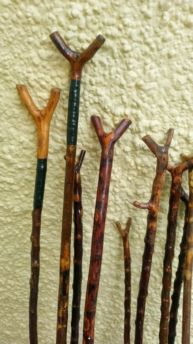 10. Blackthorn rambling sticks - Image 2