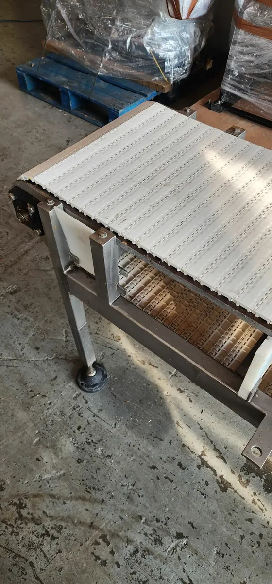 Stainless Steel Conveyor with Modular Belt - Image 2