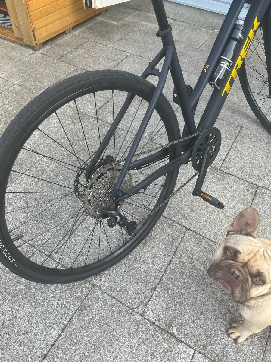 Bike - Image 1