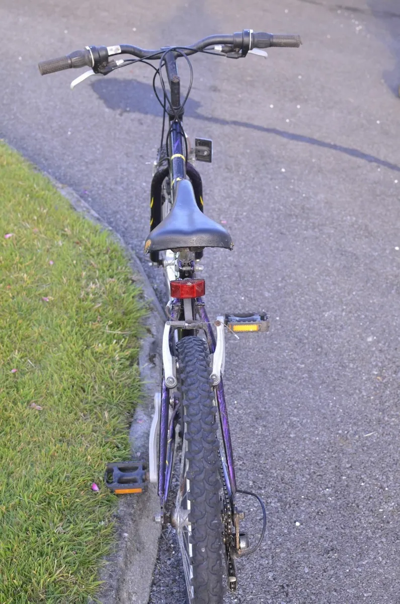 Bicycles - Image 3