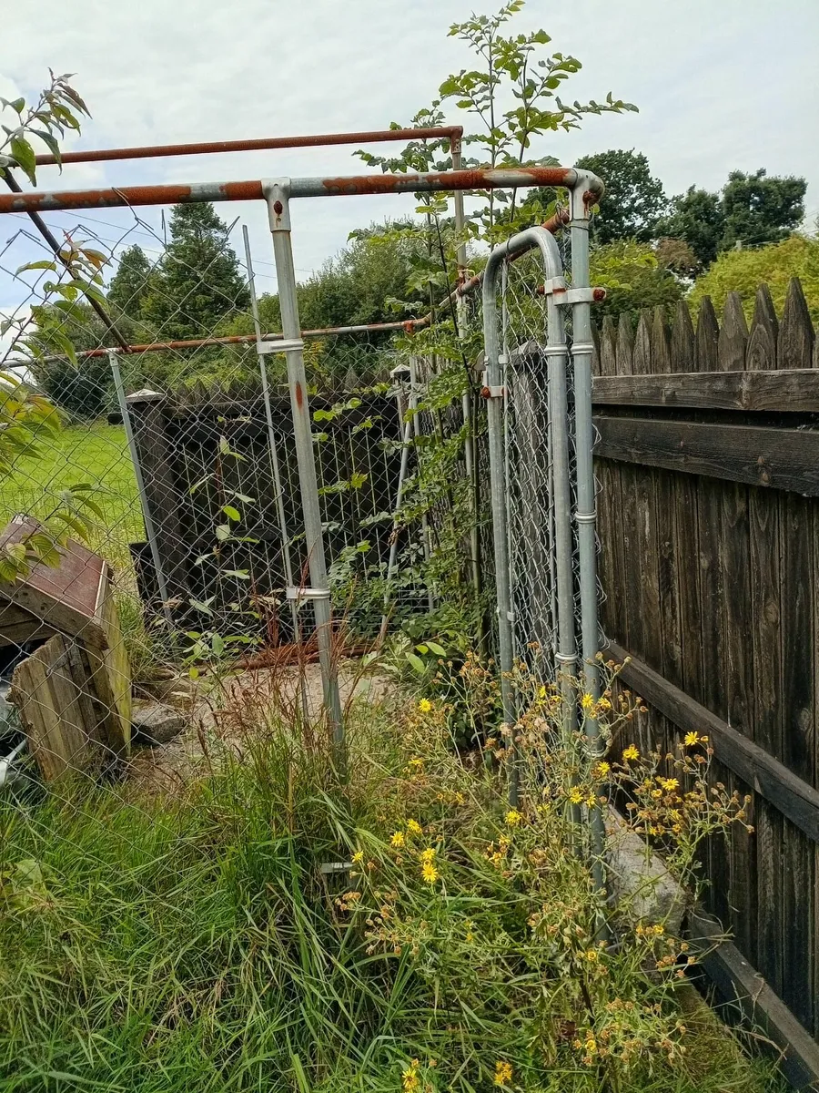 Dog Enclosure & dog box - Image 1