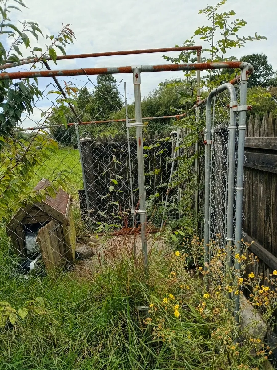 Dog Enclosure & dog box - Image 3