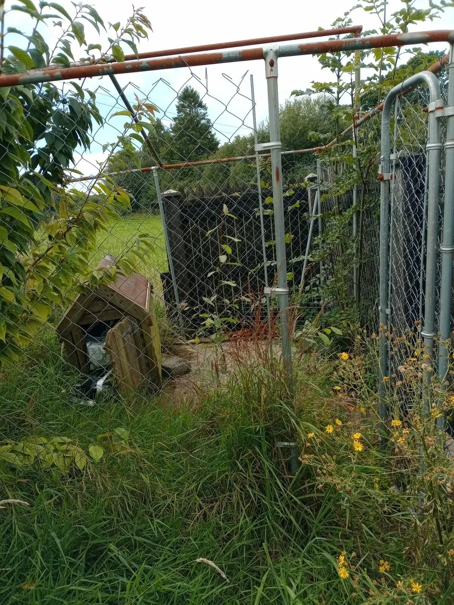 Dog Enclosure & dog box - Image 4