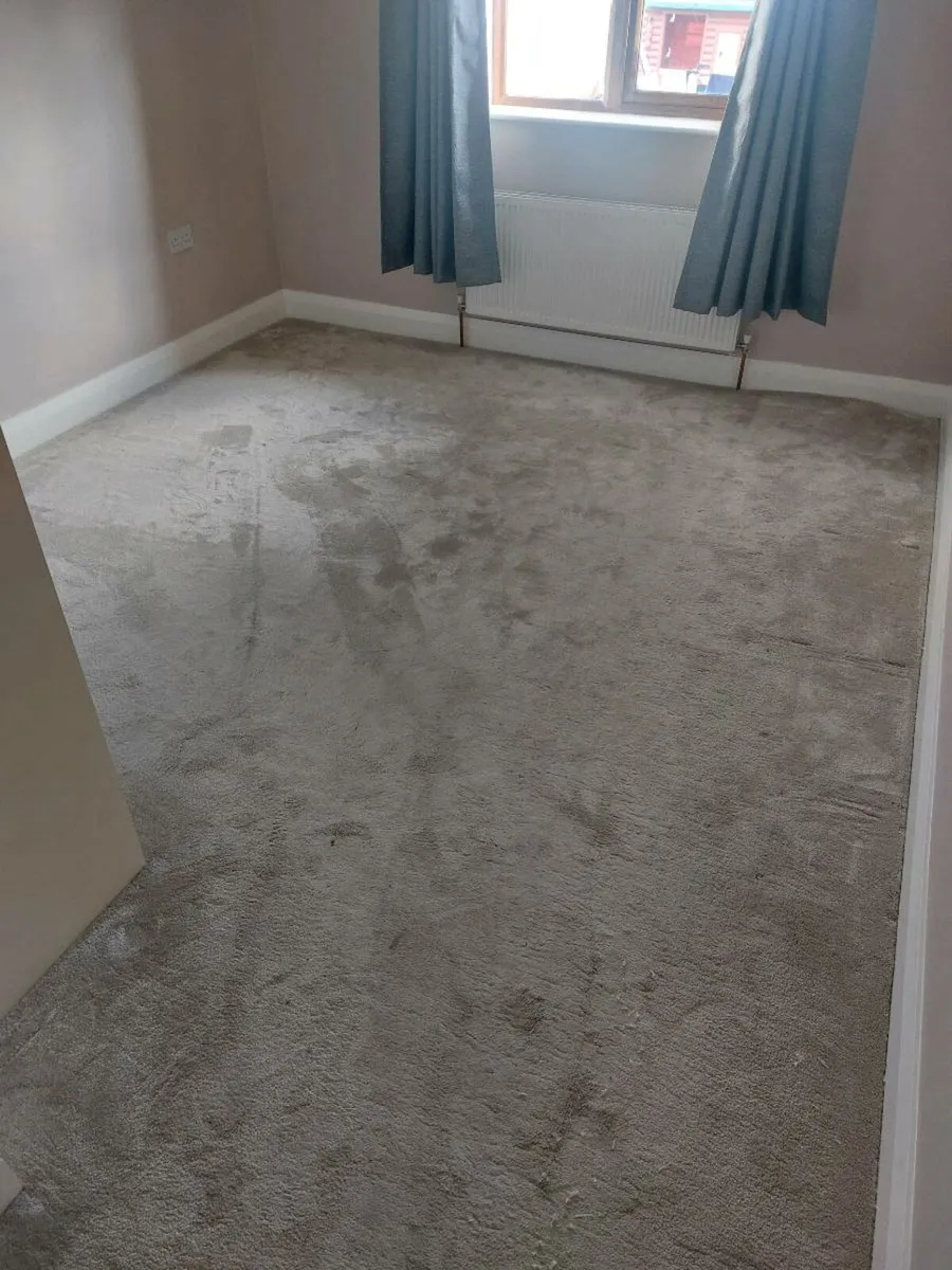 Carpet - Image 1