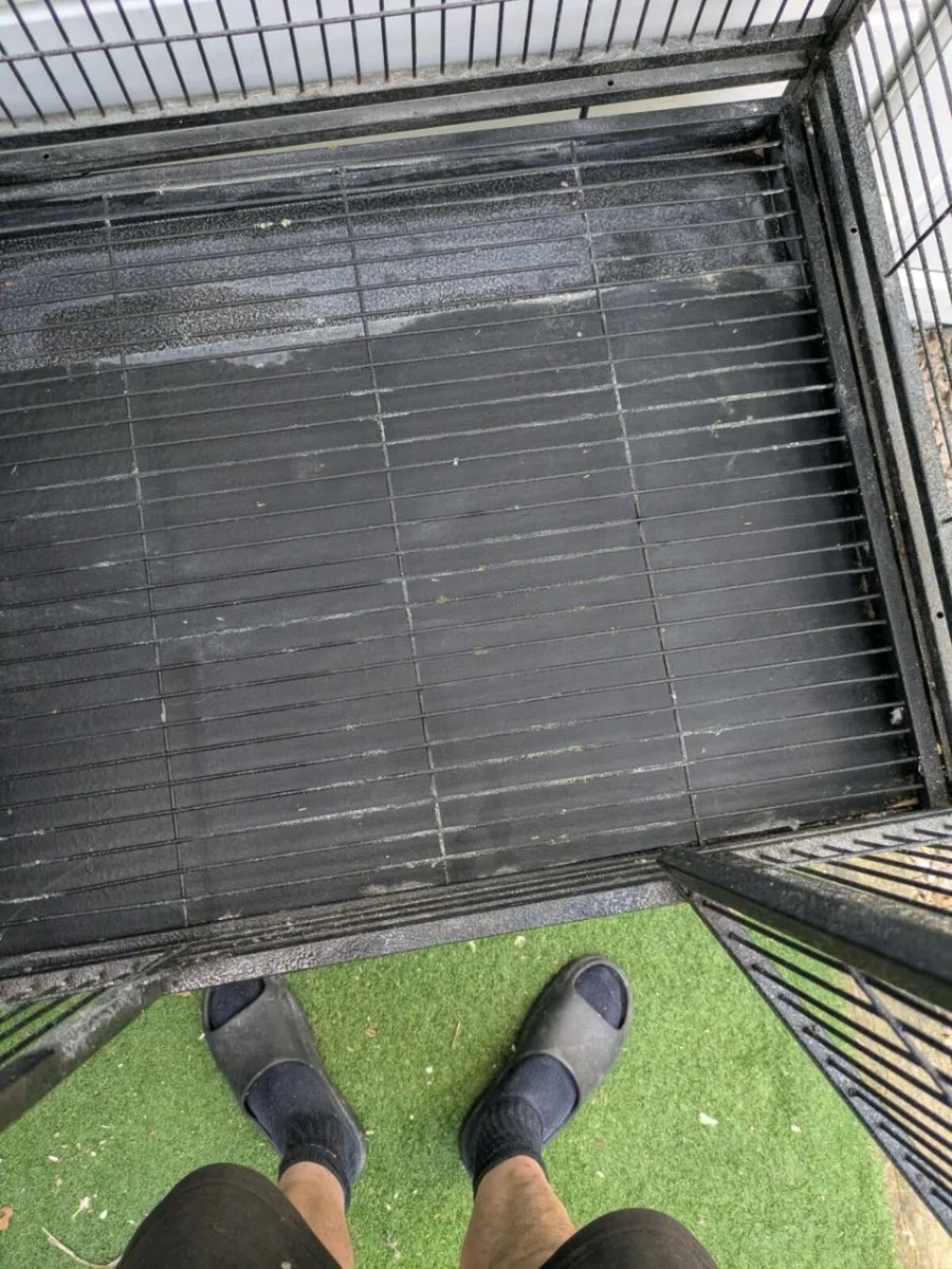 XL parrot cage - Image 3