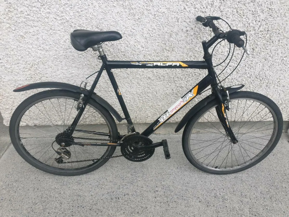 ADULTS BIKE - Image 1