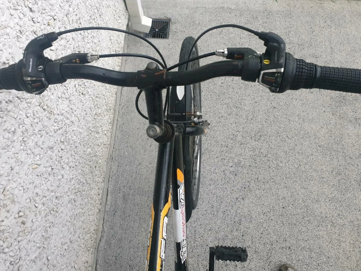 ADULTS BIKE - Image 2