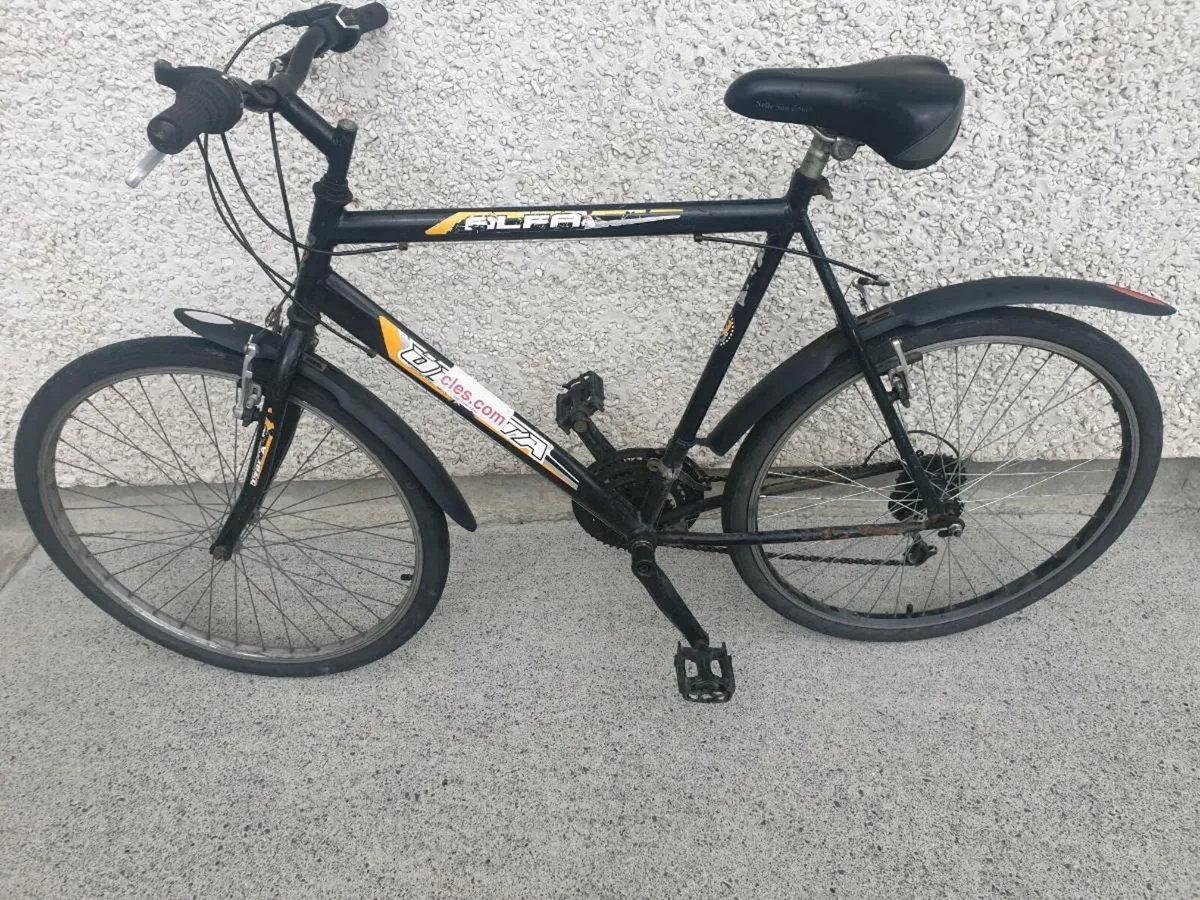 ADULTS BIKE - Image 3