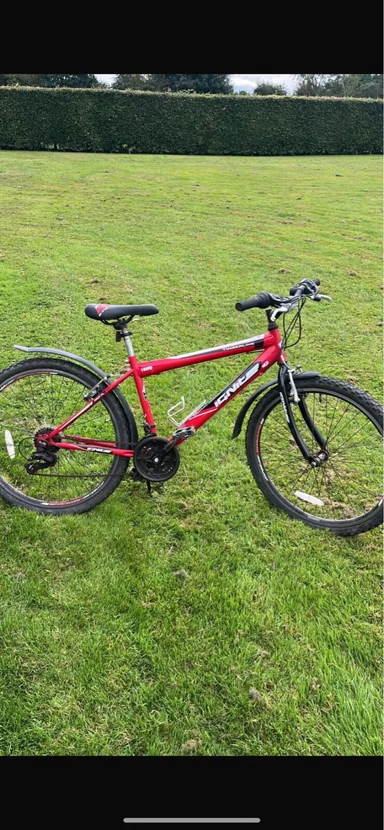 Boys Mountain Bike - Image 1