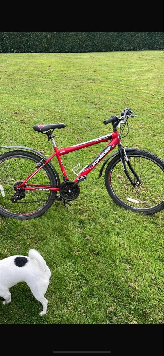 Boys Mountain Bike - Image 2