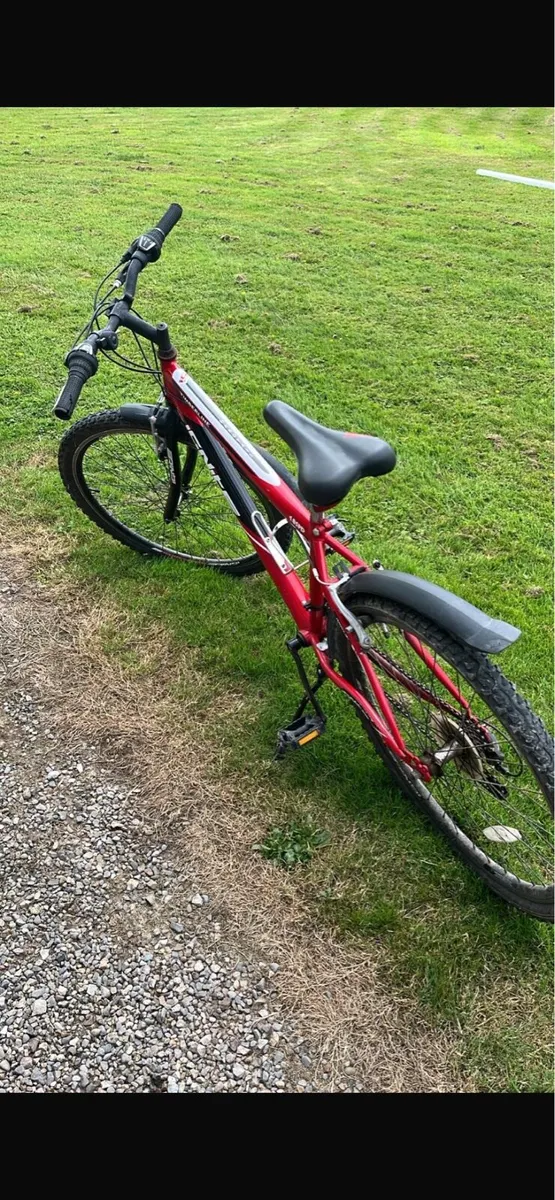 Boys Mountain Bike - Image 3