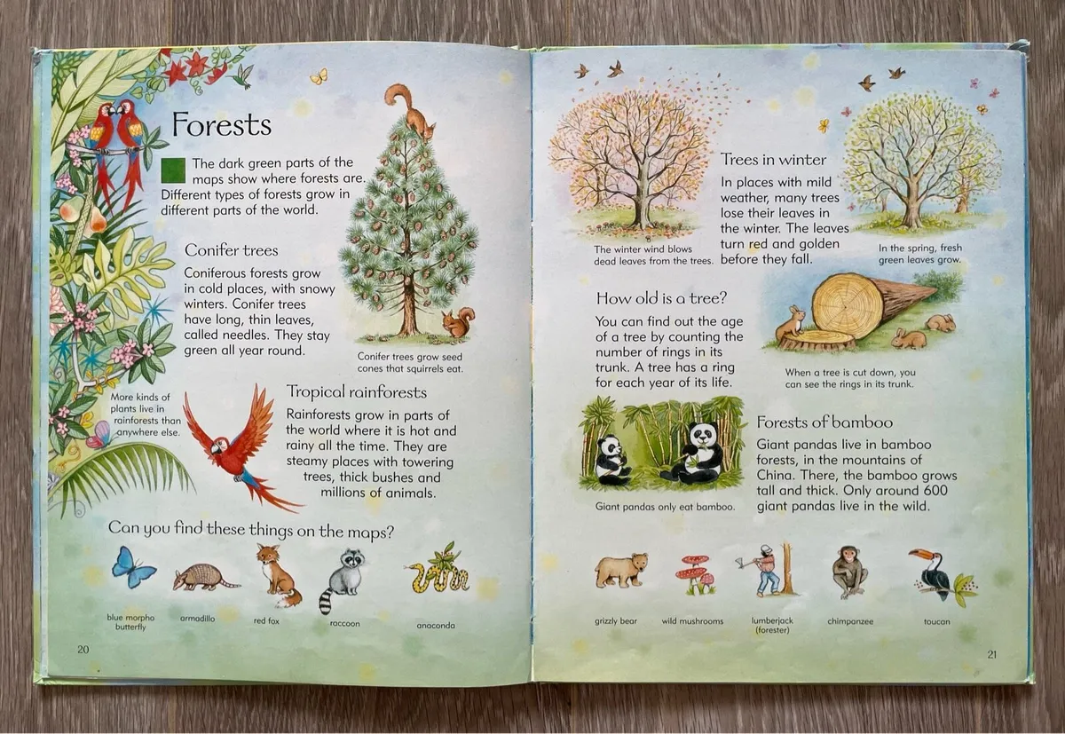 Usborne Children’s Picture Atlas - Image 4