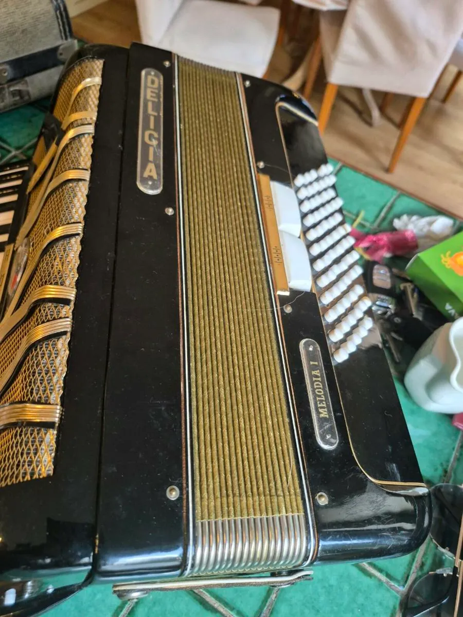 Vintage Lignatone Delicia Melodia 1 Piano Accordio - Image 2