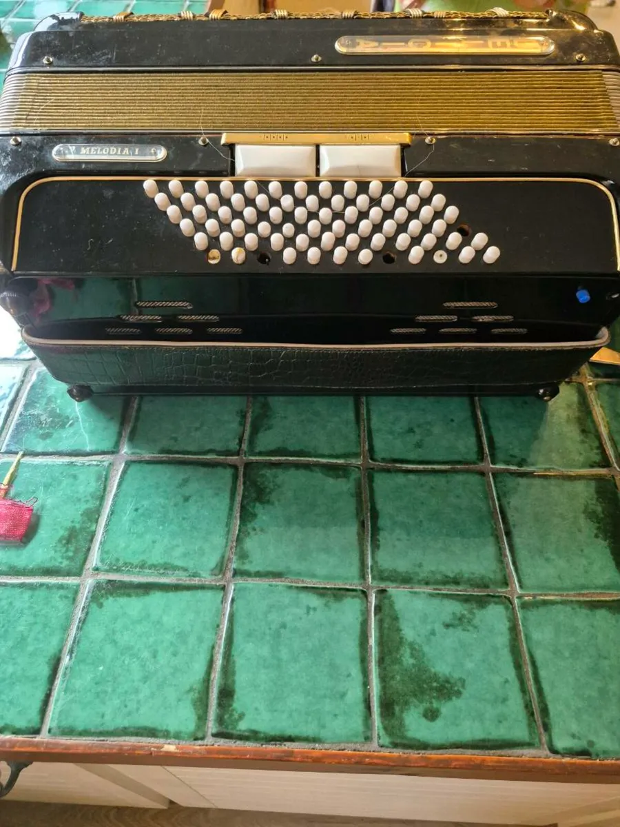 Vintage Lignatone Delicia Melodia 1 Piano Accordio - Image 3