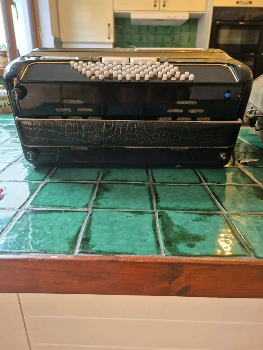 Vintage Lignatone Delicia Melodia 1 Piano Accordio - Image 4
