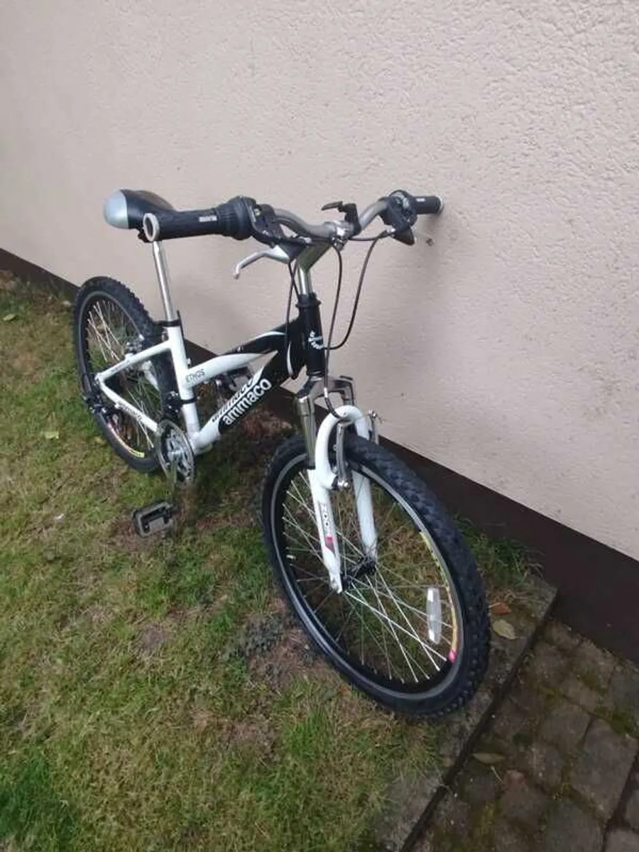 Girls Hybrid Bicycle (age 9-15) - Image 2