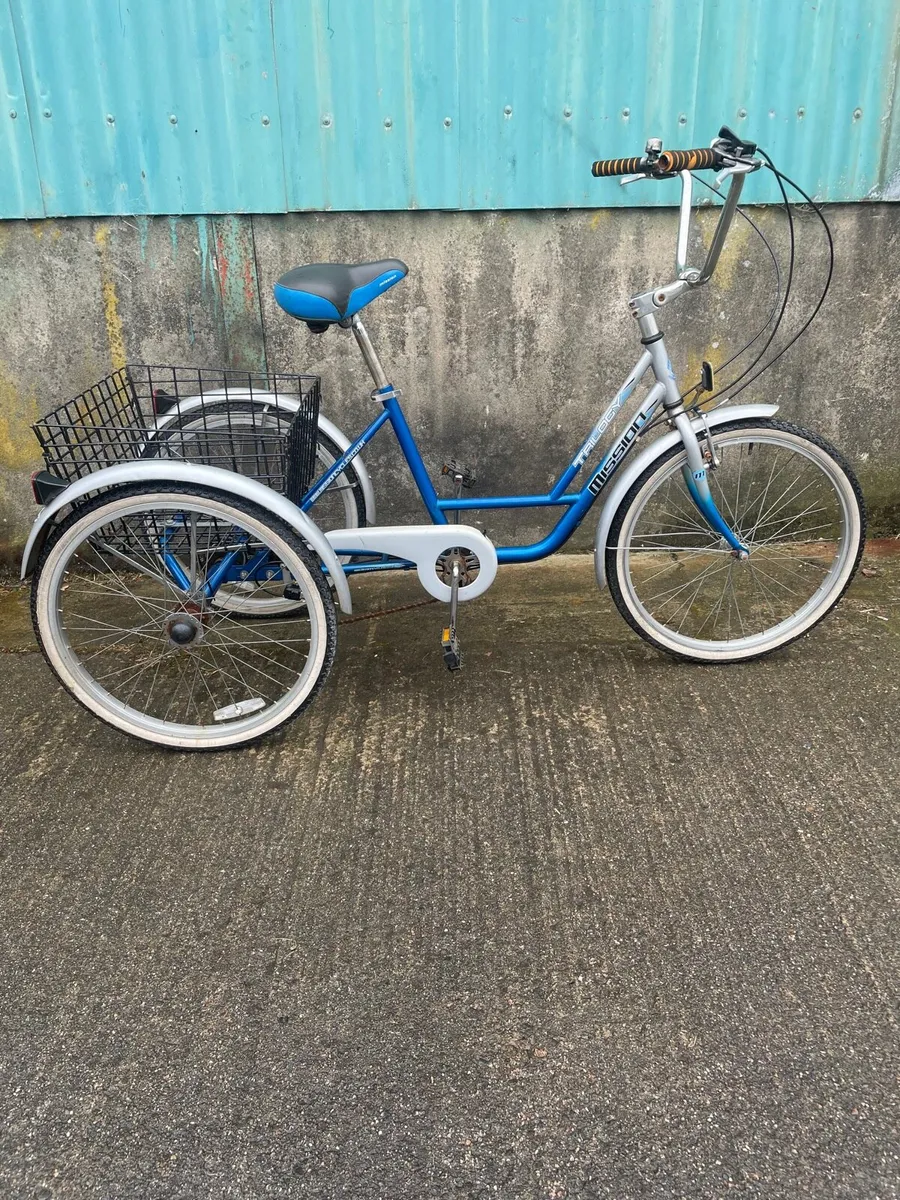 Large tricycle - Image 1