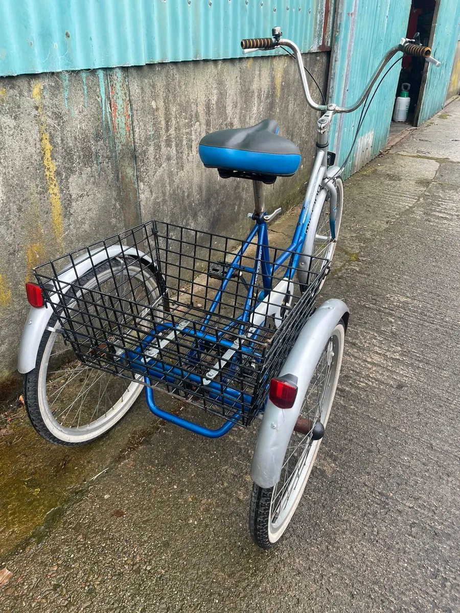 Large tricycle - Image 2