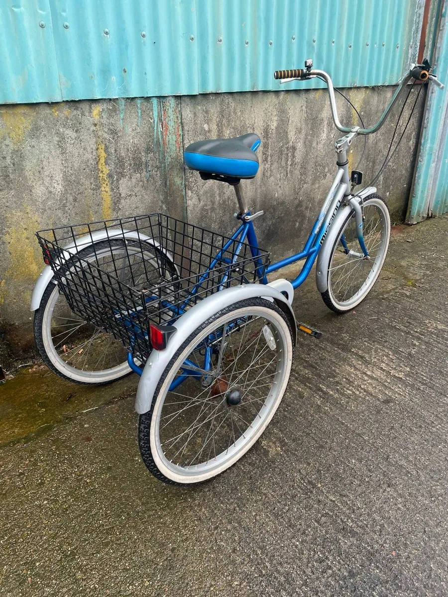 Large tricycle - Image 3