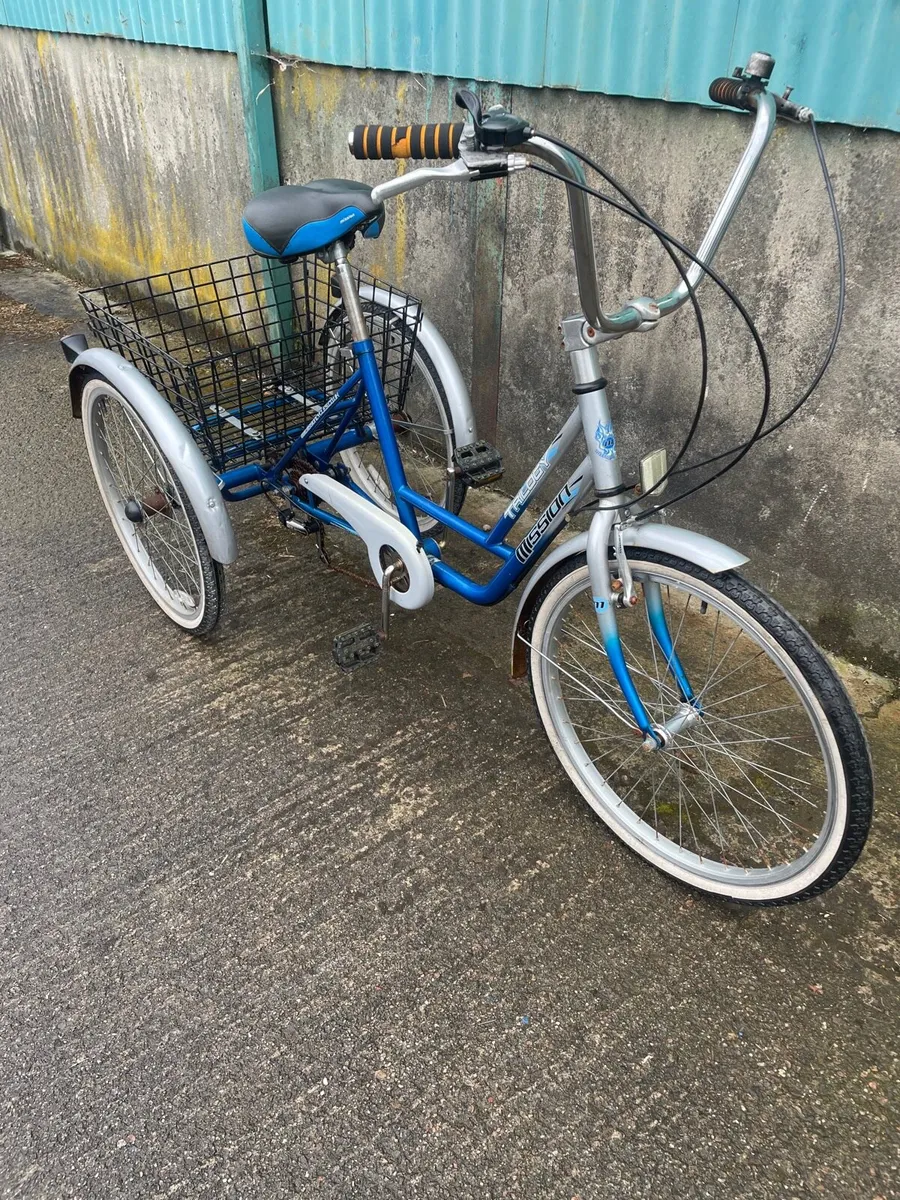 Large tricycle - Image 4