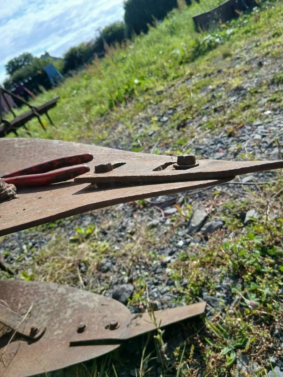 Massey ferguson equipment & potatoe spinner - Image 3