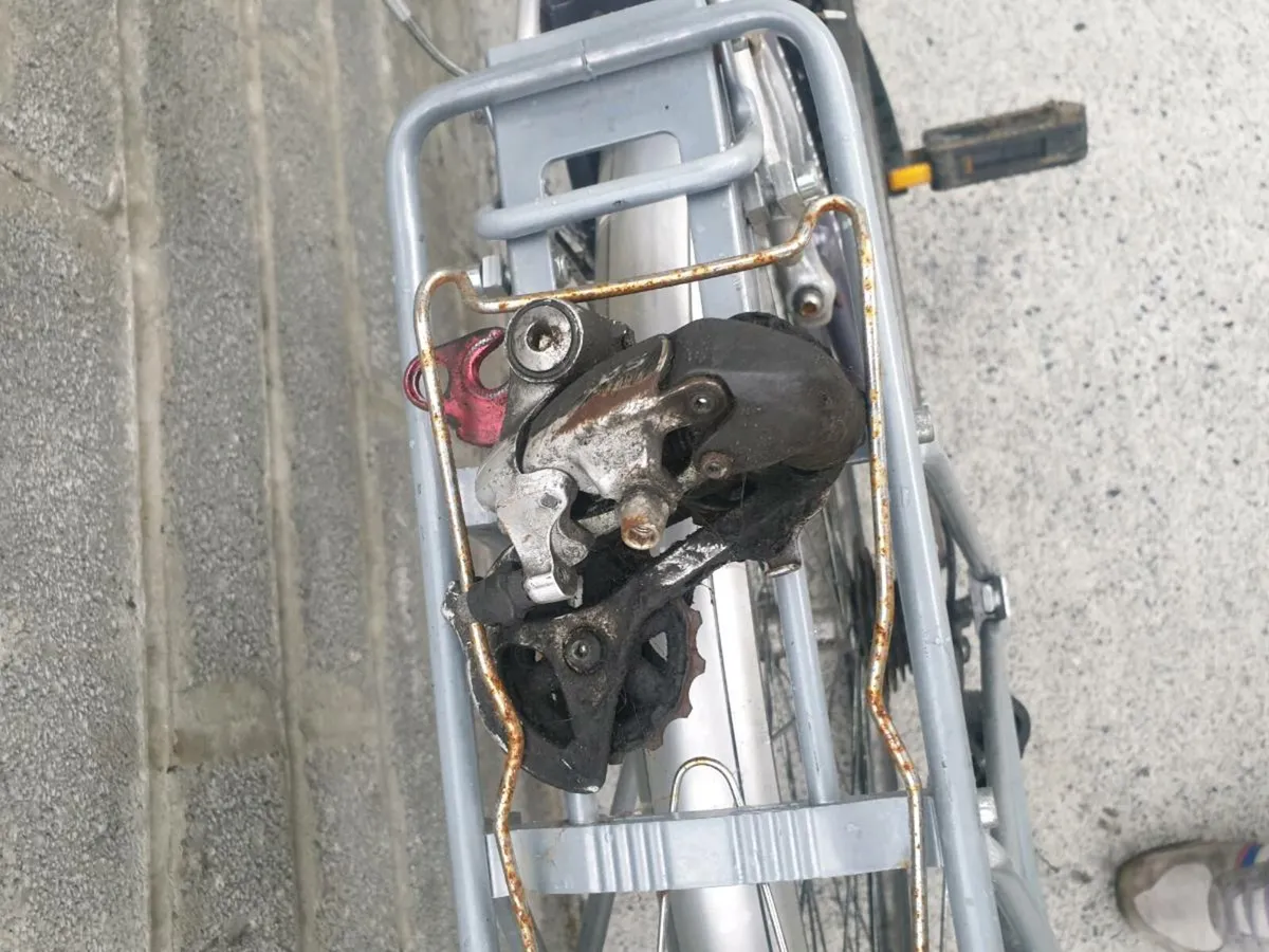 ADULTS BIKE - Image 3