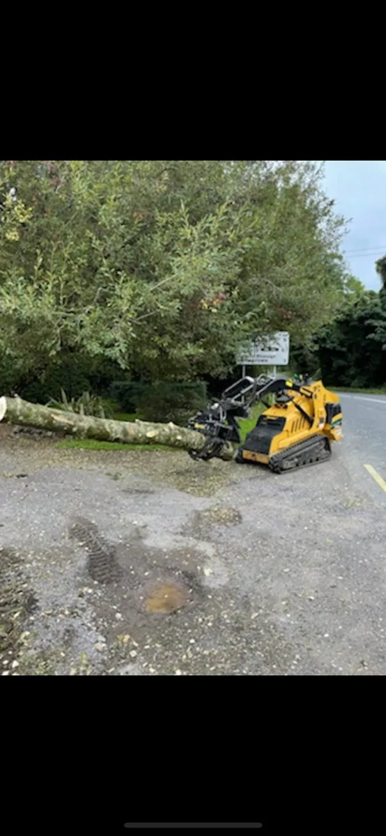 Skid steer - Image 1
