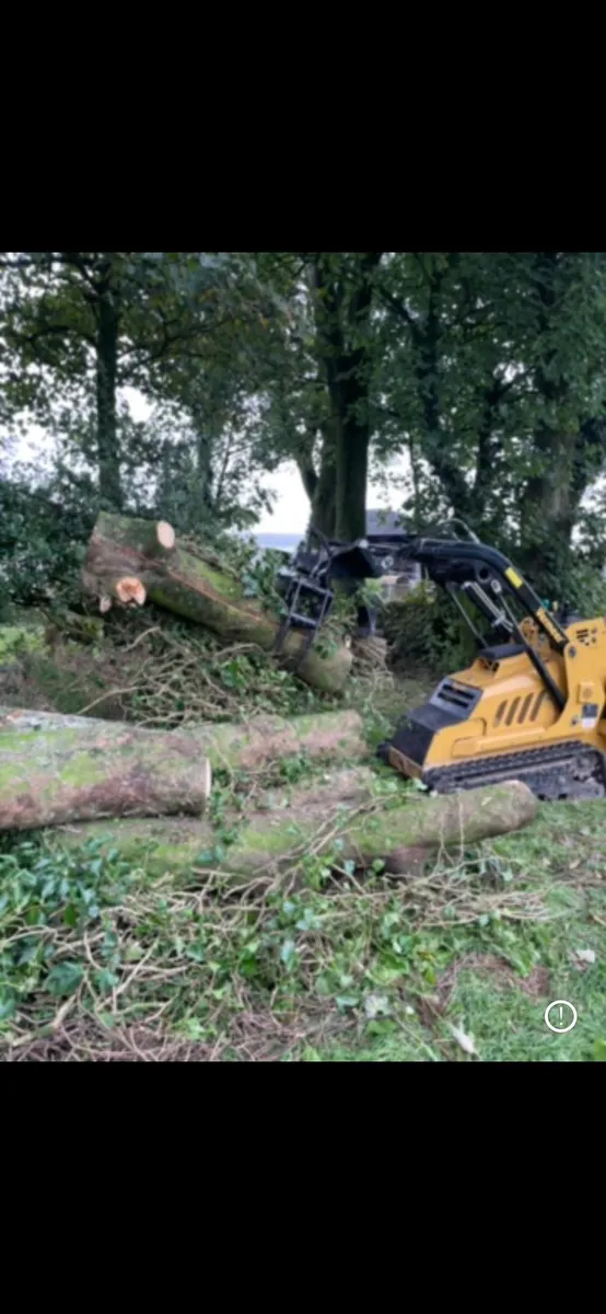 Skid steer - Image 2