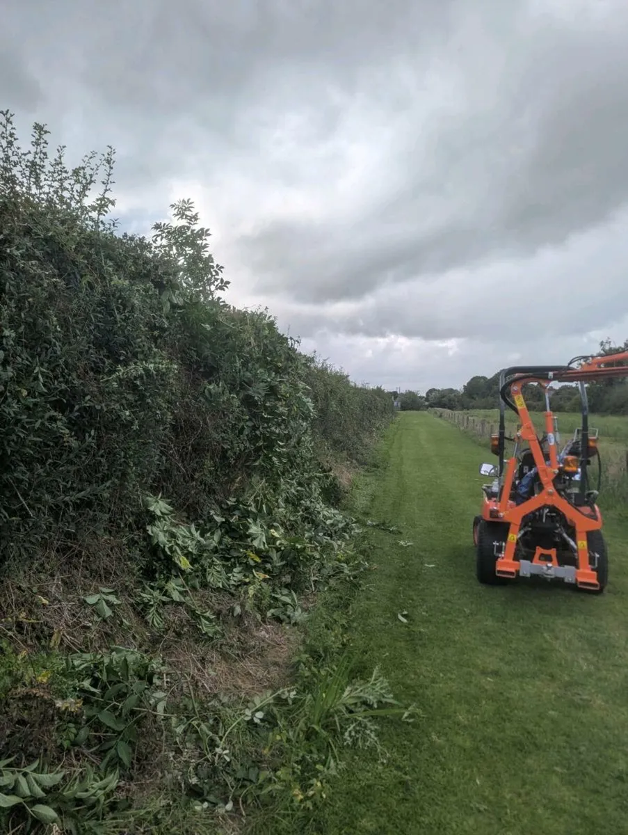 Compact Tractor Hedge trimming Service - Image 3