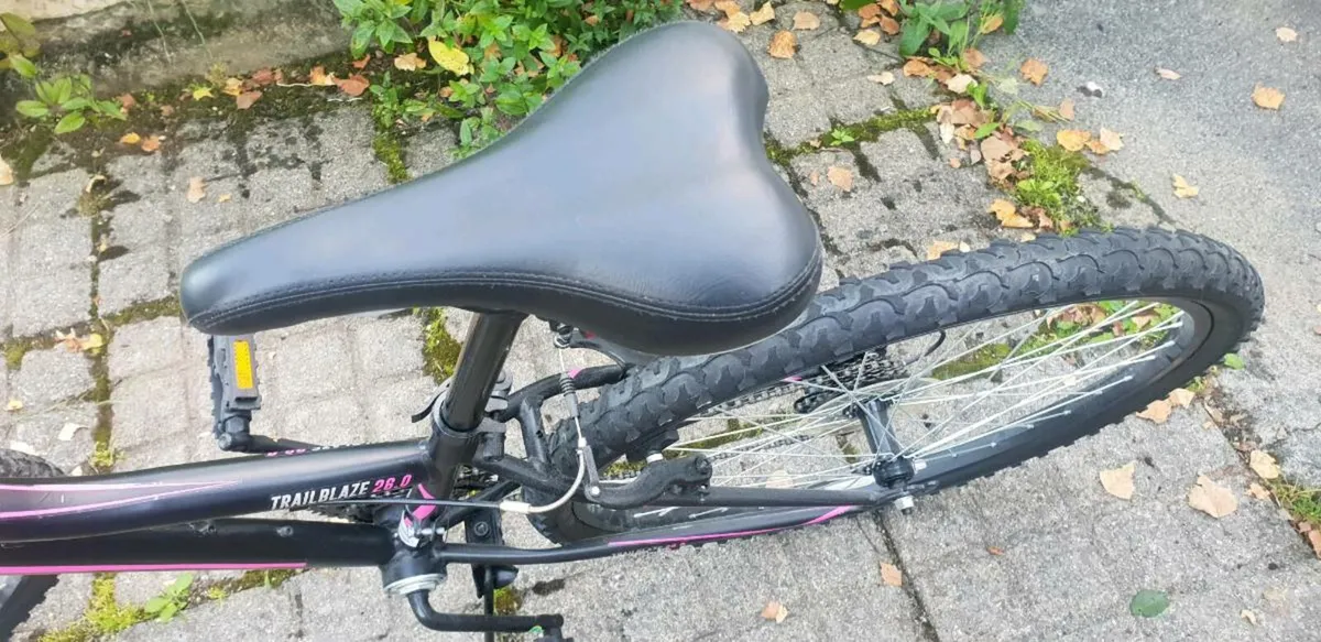Bike - Image 4