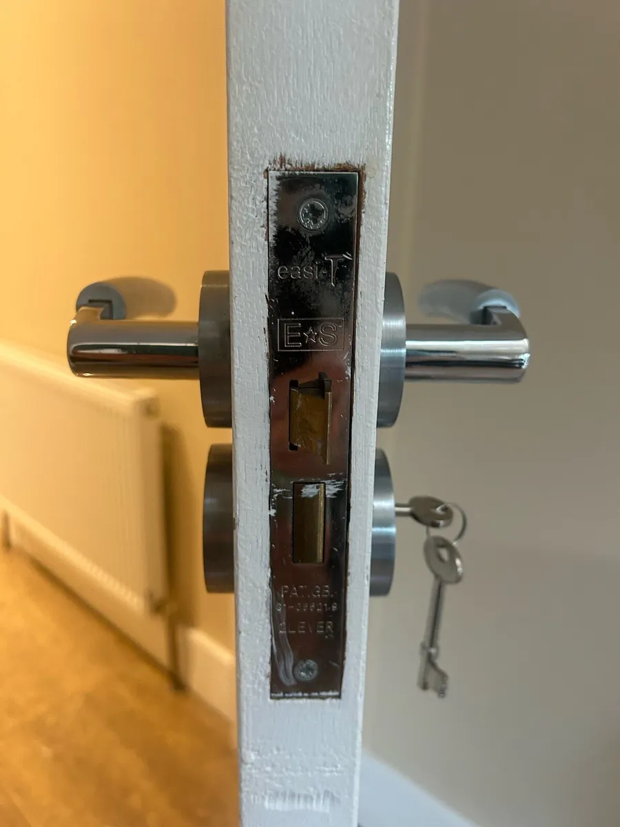 Internal doors - Image 4