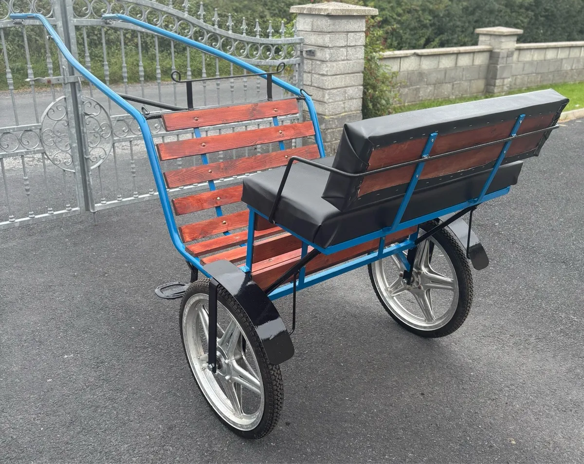 Brand new Duhig road cart - Image 2
