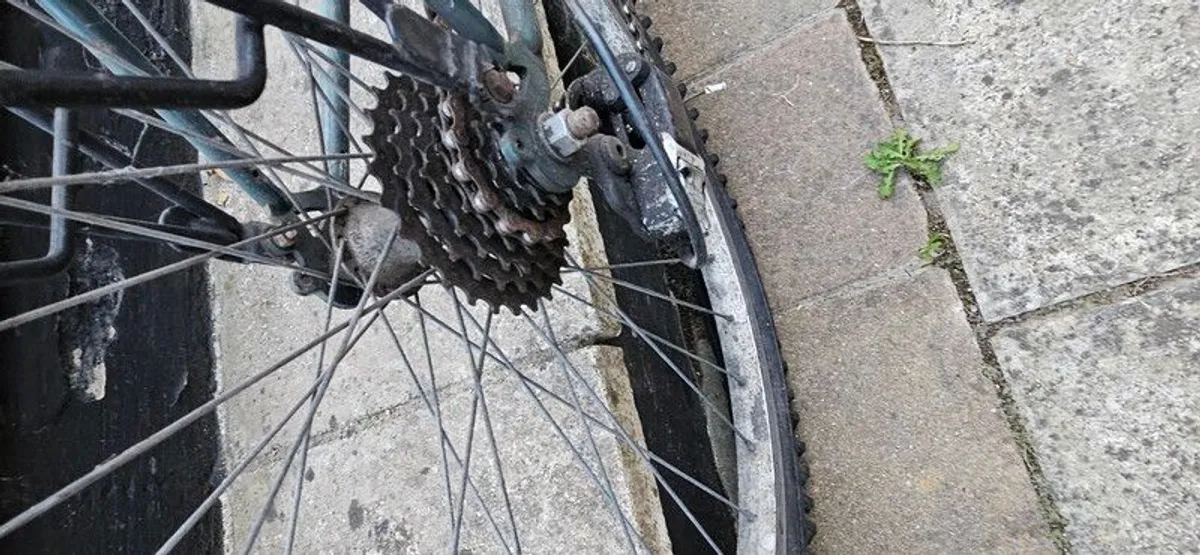 Bike - Image 2