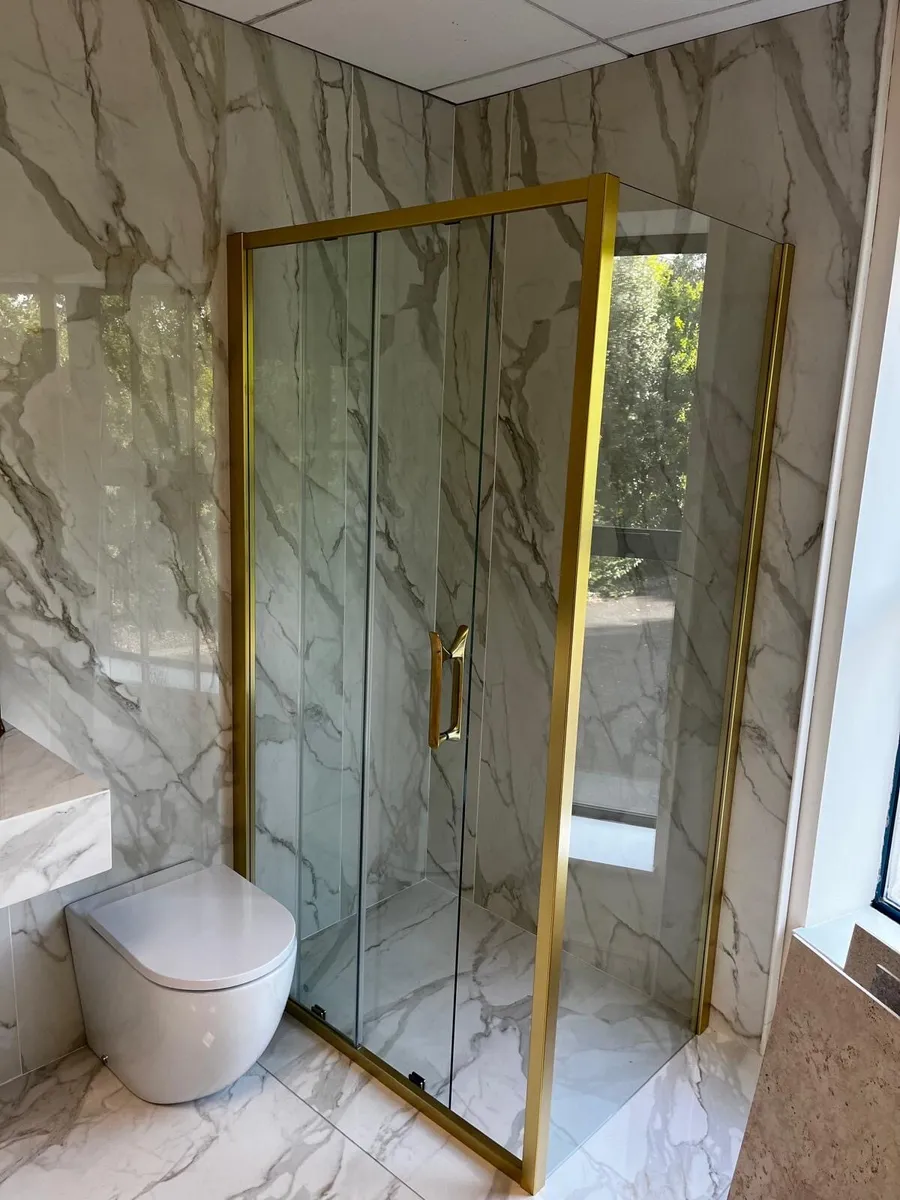 Shower Door & Side Panel - Image 1